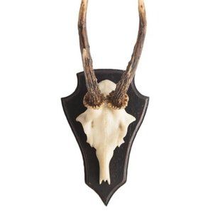 Faux Antler Trophy (Resin)